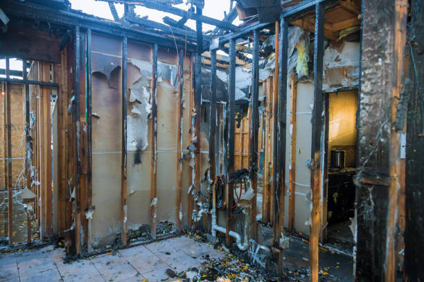 Professional Fire Damage Removal technician working in Maili, HI